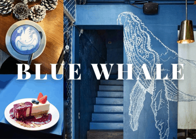 Blue Whale คาเฟ่ใต้ท้องทะเล