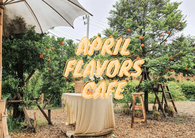 April Flavors Cafe คาเฟ่สวนส้มสไตล์เกาหลี ย่านสามพราน