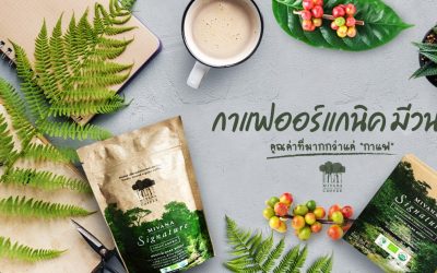 Mivana Coffee กาแฟคุณภาพ กาแฟออร์แกนิคแท้ 100%